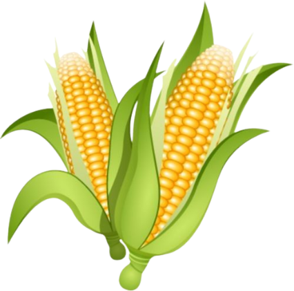 Produksi Jagung