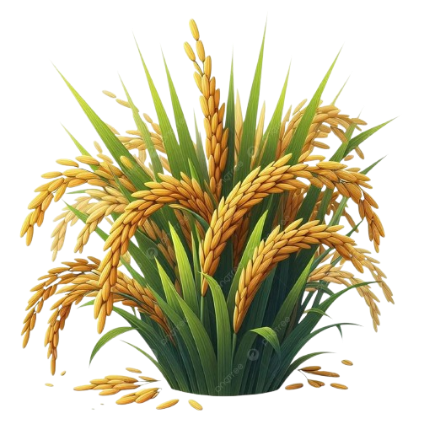 Produksi Padi